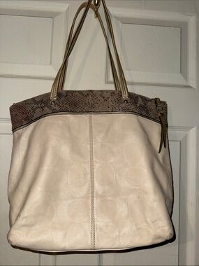 Coach snakeskin accent bag